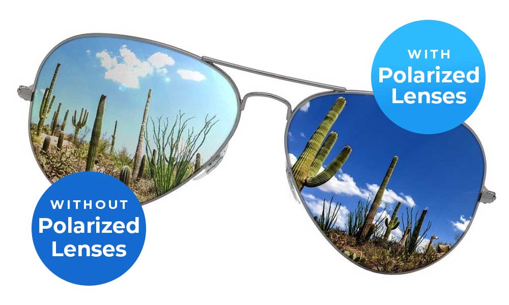 glasses-polarized-1