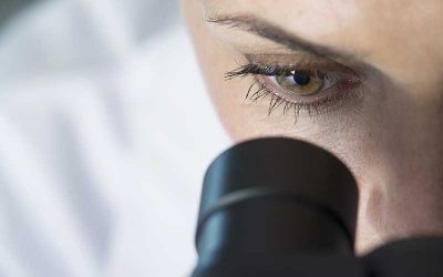 Quigley Eye Specialists Opens New Estero Office