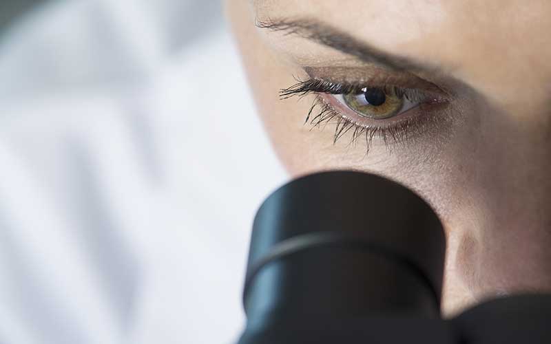 Dr. Gillespie and Dr. Schwartz service new Quigley Eye Specialists Estero office